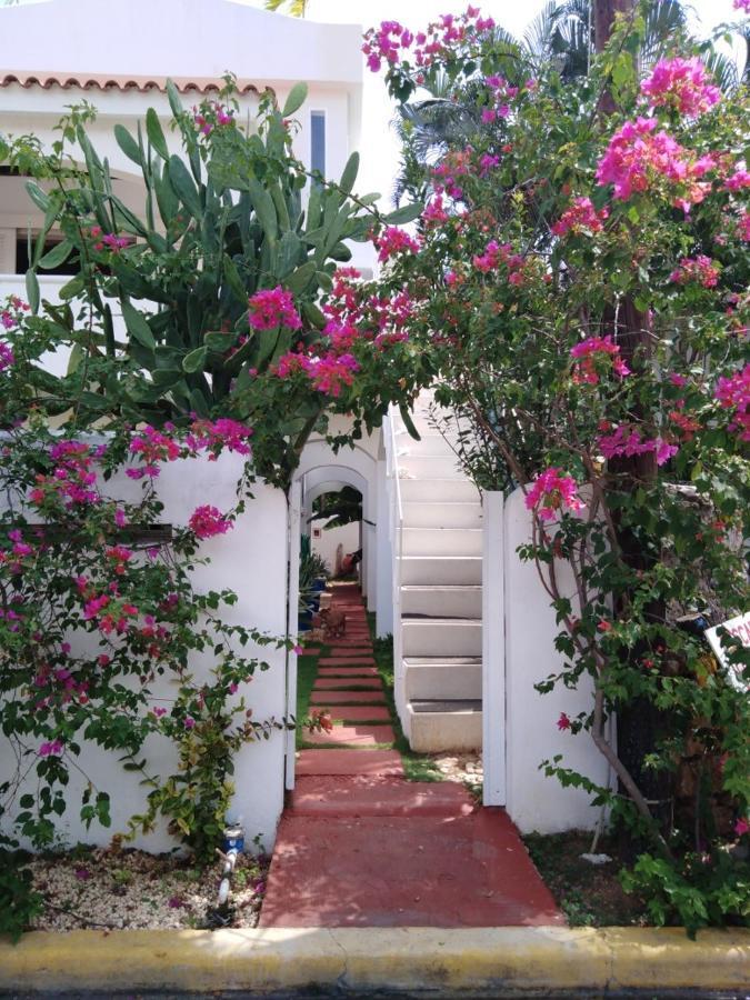 Caraibidamari Hotel Bayahibe Kültér fotó